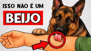 O seu cachorro lambe você? ISSO é o que REALMENTE significa! (Você ficará surpreso!)