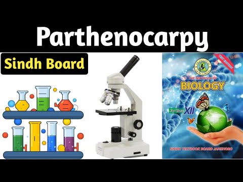 Parthenocarpy | Seedless Fruits | Sindh Board