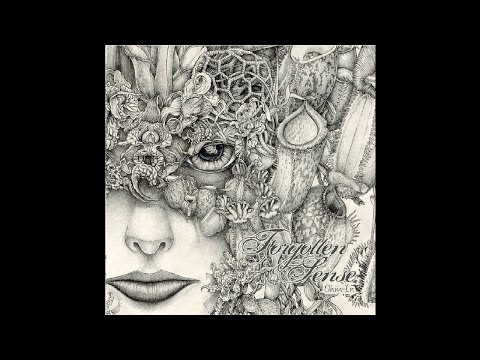 Ohm-In @ EP Forgotten Sense - You`ill never Viech alone (Shamanism Records)