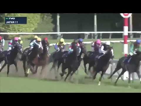 Wonderful race by daring tact look at his last to front nail biating finish