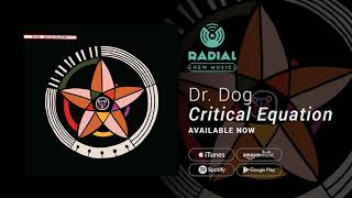 Dr Dog - Critical Equation (Album Promo)
