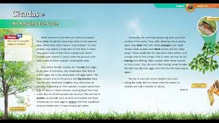 4 Subject link 6 C2