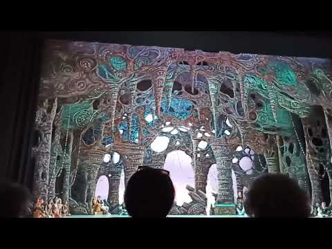 Corsair/ Adan's Ballet / State Mariinsky Théâtre (1)