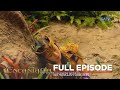 Encantadia: Full Episode 71 (with English subs)