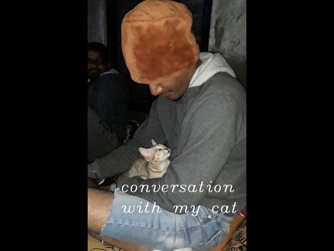 Cat (Kitten)|| Delight to watch her expressions|| #catexpressions, #cutekitten,