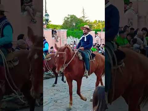 Fiestas Patronales 2025 en Honor a Nuestra Señora del Rosario d VT @cabanasdelcaminoreal6668