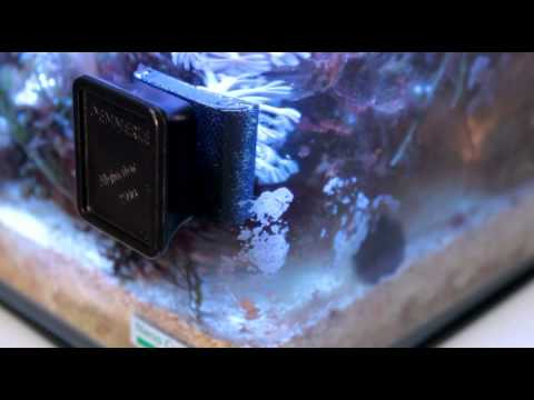 Watch Video on YouTube