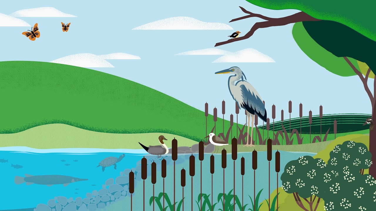 What is a Floodplain?