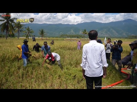 PRESIDEN JOKOWI TINJAU PANEN PADI DI KABUPATEN SIGI