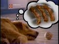 1989 Beggin Strips It S Bacon Commercial
