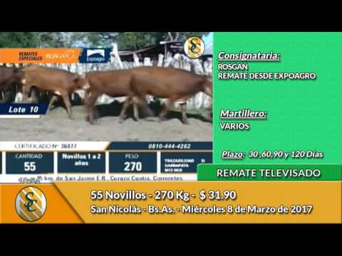 08-03-17 - Ventas Remate Televisado del Rosgan - San Nicolas
