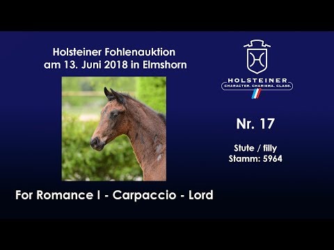 Holsteiner Fohlenauktion im Juni | Nr. 17 v. For Romance - Carpaccio