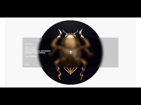 Steve Angello, Saturday, Monday, Julia Spada - The Ocean (AN21 Remix) [Visualizer]