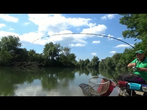 FEEDEROM NA KUPSKOM KUPALIŠTU  - Ninoslav Žagar