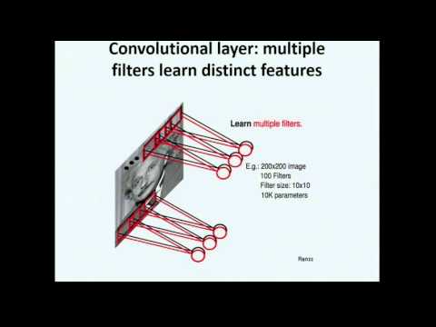 Deep Learning Frameworks for Regulatory Genomics and Epigenomics
