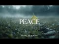 Peaceful Guitar For Stress Relief Work And Study