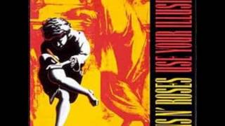 Guns N' Roses Use Your Illusion I & II