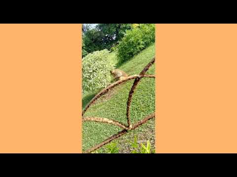 MW and my friends on  enjoy the beach