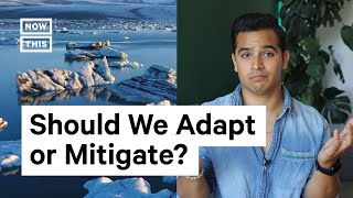 Adaptation vs. Mitigation Climate Change Solutions