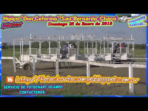 COMPILADO HÍPICO DON CEFERINO DE SAN BERNARDO CHACO  DOMINGO 25 DE ENERO DEL 2015
