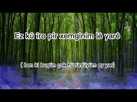 Lê Yarê - Yelda Abbasî ( binnivîs / türkçe altyazılı)