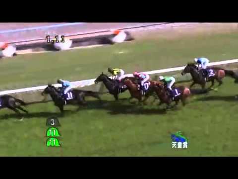 2014 THE TENNO SHO G1 JPN