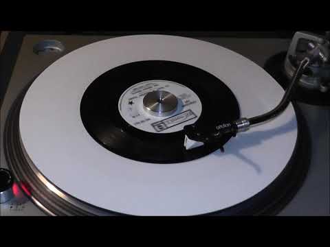The Grass Roots - I'd Wait A Million Years  -  Mono 45RPM