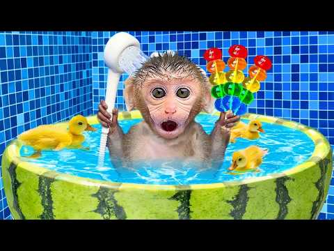 Monkey Bon Bon Plays with Duckling and Goes Swimming in the Pool | Bon Bon Indonesian