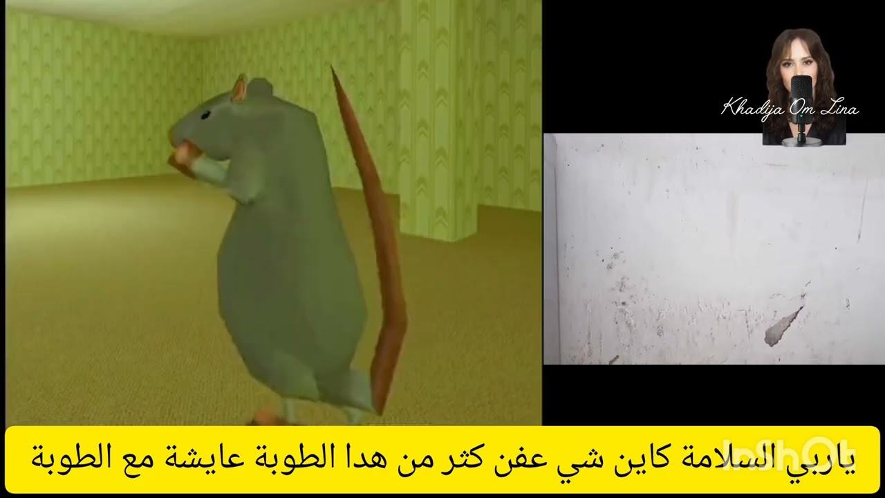 22 mars 2026السريعة عايشة مع الفيران