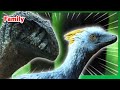 Sinraptor VS Anchiornis The Dinosaurs Netflix Family