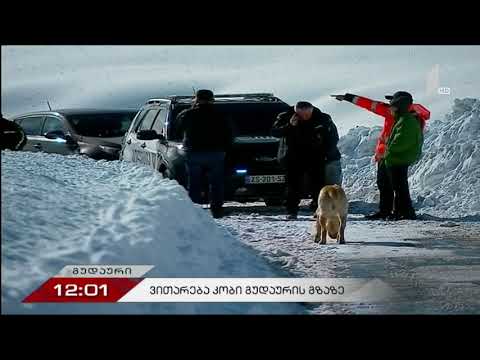 გუდაური-კობის  ერთ ნაწილზე გზის გაწმენდითი სამუშაოები დაიწყო