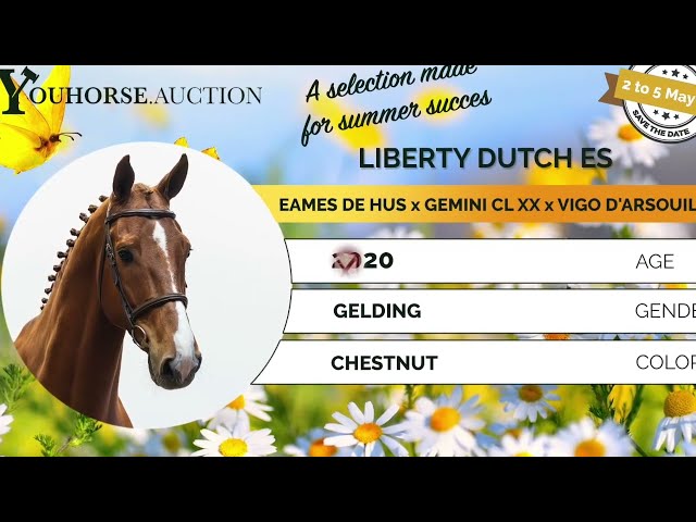 Liberty Dutch showvideo