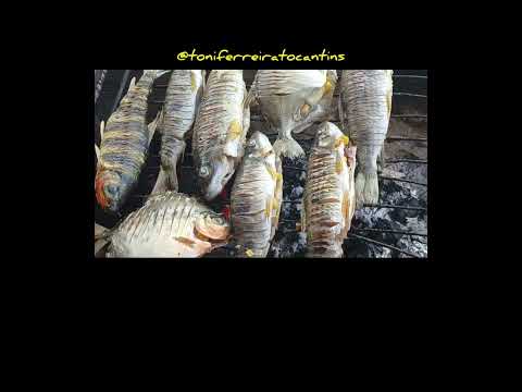Poeta das Estradas - Tocantins (Toni Ferreira), Lago dos Sonhos. Mus: Araguacema - Almir Mesquita