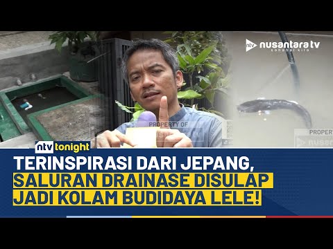 Terinspirasi Jepang, Ketua RT Sulap Saluran Drainase Jadi Kolam Budidaya Lele | NTV TONIGHT