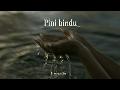 Pini bindu | [slowed + reverb]