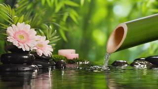 Música relajante + Sonidos de agua calmantes 🌿 Alivia el estrés y la ansiedad, mente y cuerpo