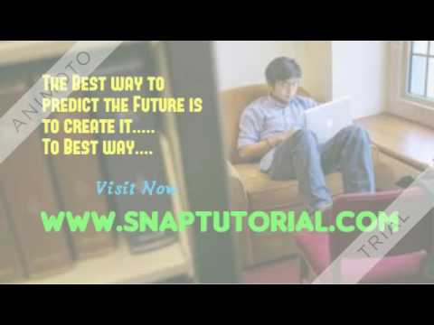 IT 230 Courses(Snaptutorial)