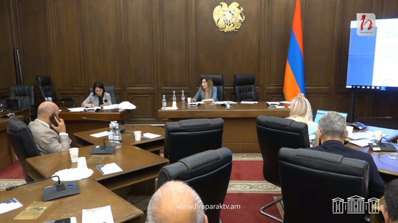 #Ուղիղ. ԱԺ մշտական հանձնաժողովների համատեղ նիստ
