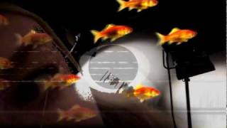 Imaginary Girl David Lynch