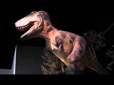 T-Rex at Pacific Science Center