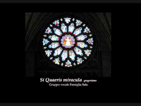 The Miraculous Responsory of St Anthony of Padua