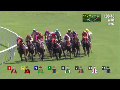 10/7/2022 (810) Flying Mighty -  Z Purton