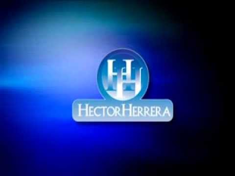 El vuelo de los gansos..flv