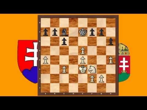 1.2. Dávid Horváth - Jozef Straka 1/2 - 1/2