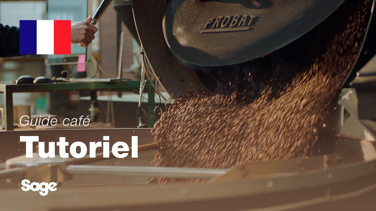 Guide didactique du café Breville - Choisir les bons grains