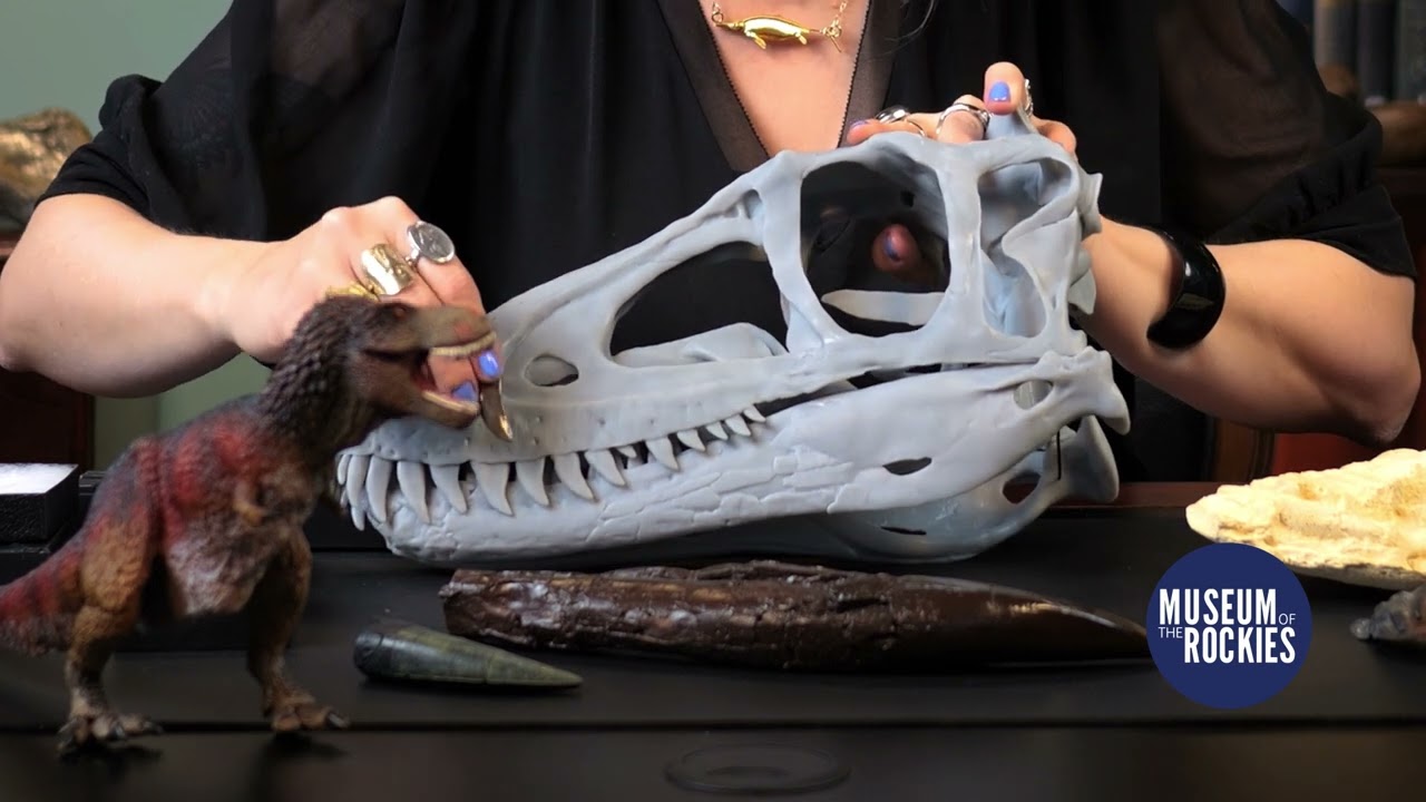 Explainer Video: Virtual Field Trips by Streamable Learning