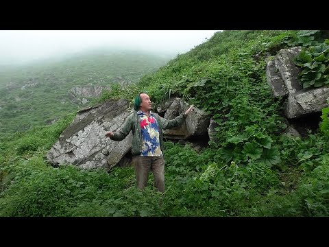 FIELD TRIP WITH PATRICK BLANC IN PERU - LA COSTA & LA MERCED