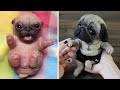 Funniest and Cutest Pug Dog Videos Compilation 2020 #3