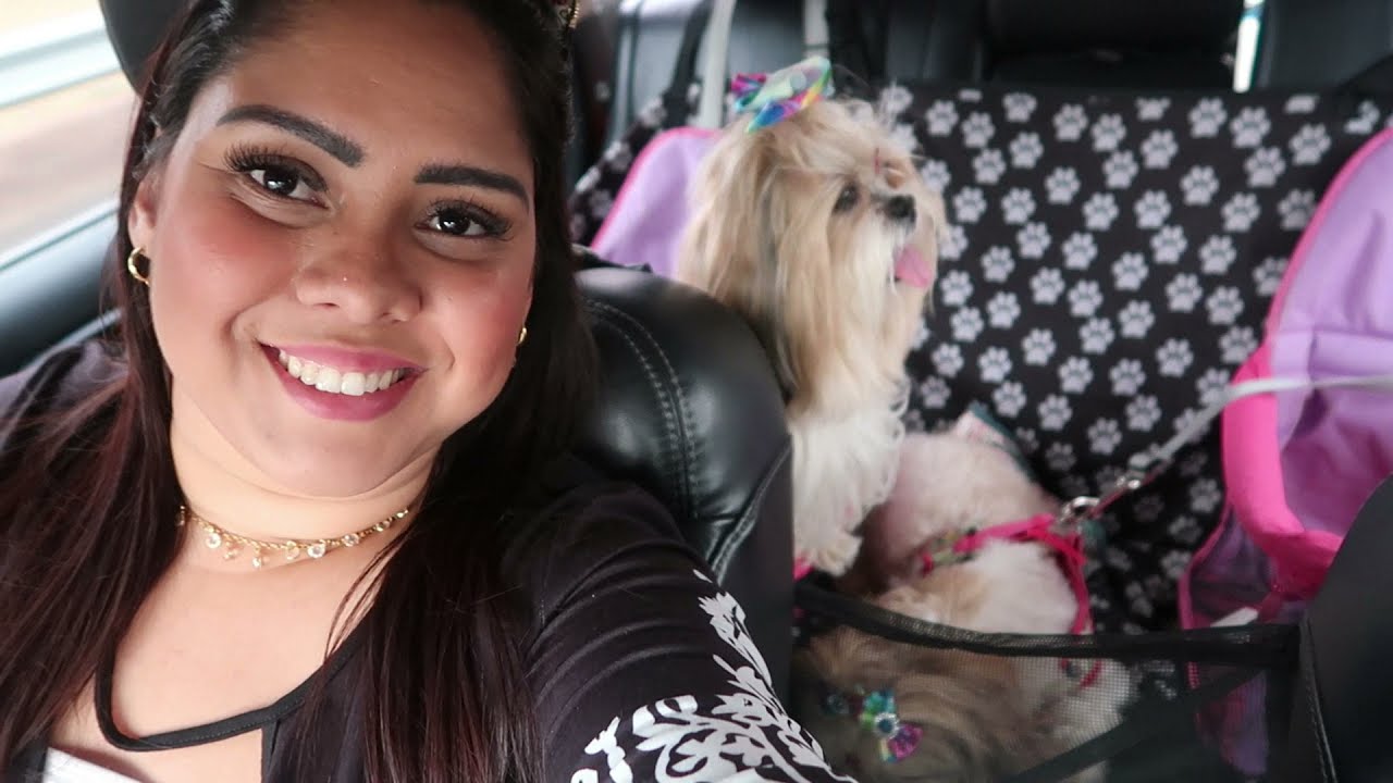 CONHEÇA O HOTEL FAZENDA FONTE COLINA VERDE SÃO PEDRO -  VLOG