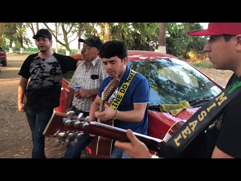 José Manuel Castro/Misael Camacho/ David Hijos de Barrón /camarones 🦐 ahogados y música:a cada rato
